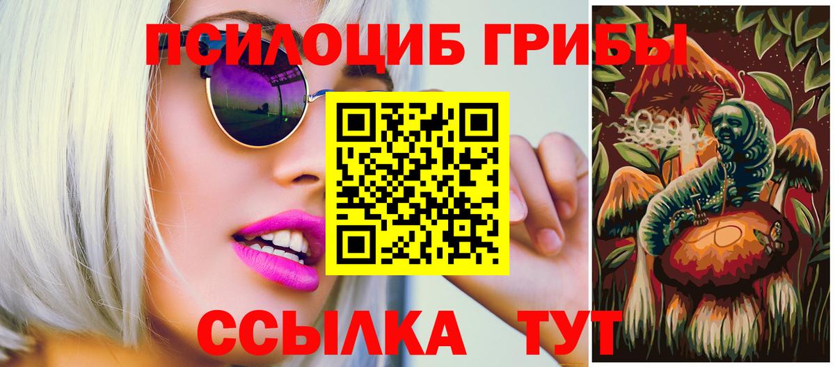 Псилоцибиновые грибы Psilocybe  Вход с VPN  Псилоцибиновые грибы MAGIC MUSHROOMS  Гатчина 