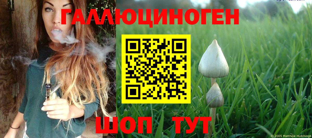 Галлюциногенные грибы MAGIC MUSHROOMS Гатчина