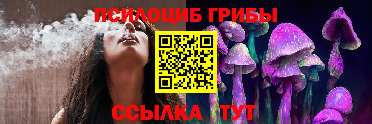 Псилоцибиновые грибы Cubensis Гатчина